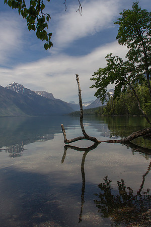 Glacier National Park June 2016-0468