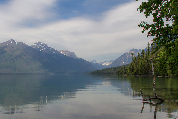 Glacier National Park June 2016-0491