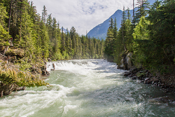 Glacier National Park June 2016-0410