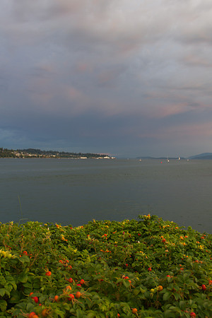 Harbor Walk July 2016-2994