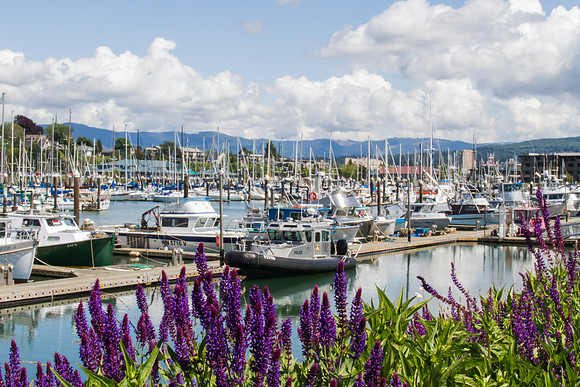 Zuanich Marina May 2016-0157