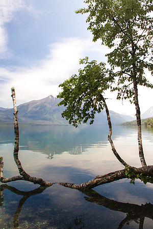 Glacier National Park June 2016-0472