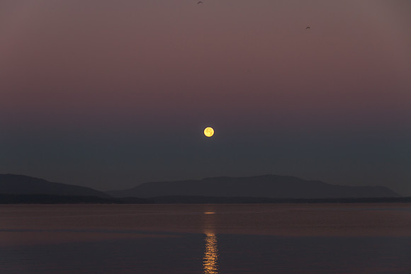 Full Moon setting Aug 2016-3745