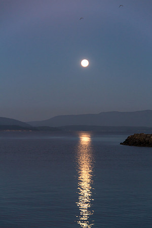 Full Moon setting Aug 2016-3728