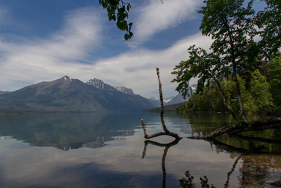 Glacier National Park June 2016-0469