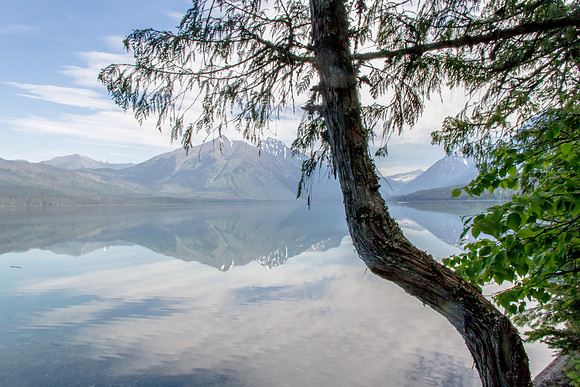 Glacier National Park June 2016-0365