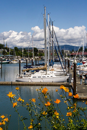 Zuanich Marina May 2016-0121