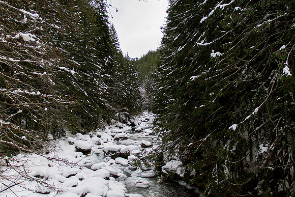 Nooksack Falls Jan 2017-8410