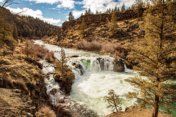 Steelhead Falls OR Jan 2021-4813