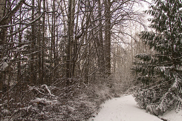 Snow Day Feb 2017-8696