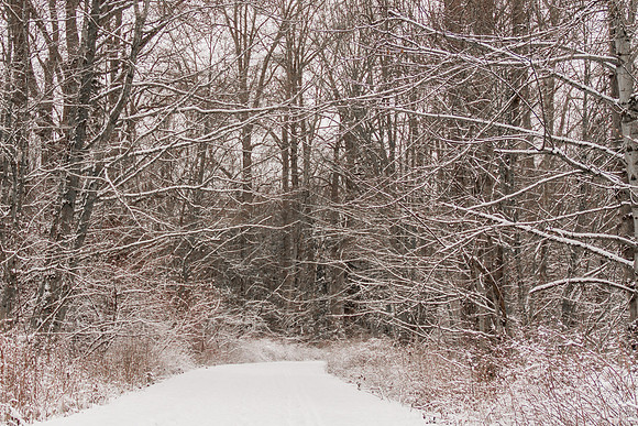Snow Day Feb 2017-8711