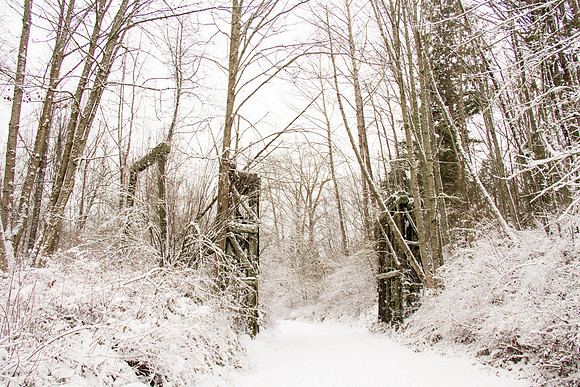Snow Day Feb 2017-8743