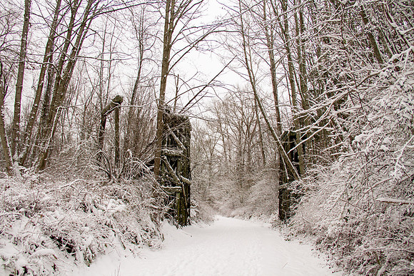 Snow Day Feb 2017-8745