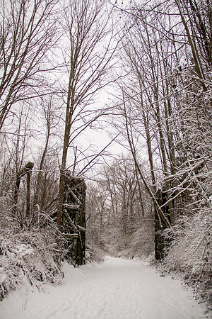 Snow Day Feb 2017-8747