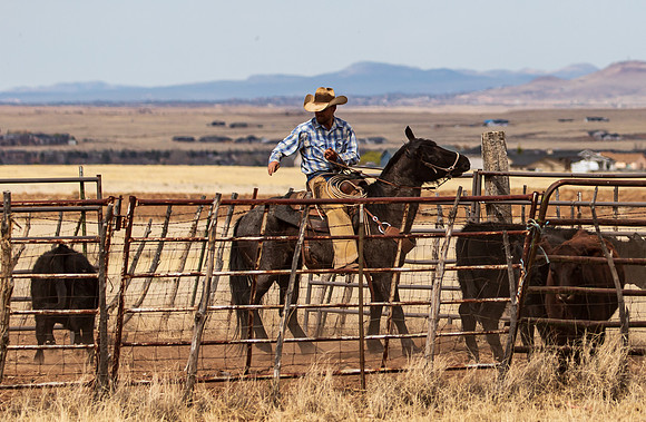 Roundup March 2025-7395