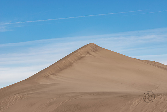 Bruneau Sand Dunes ID Feb 2021-5009