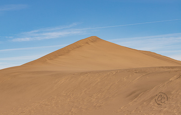 Bruneau Sand Dunes ID Feb 2021-5010
