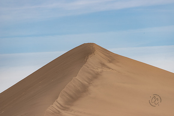 Bruneau Sand Dunes ID Feb 2021-5006
