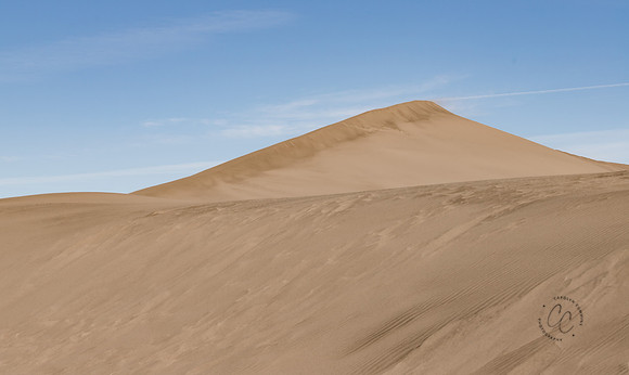 Bruneau Sand Dunes ID Feb 2021-5011