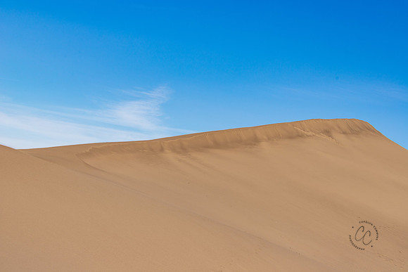 Bruneau Sand Dunes ID Feb 2021-5020