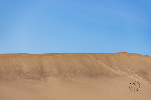 Bruneau Sand Dunes ID Feb 2021-5021