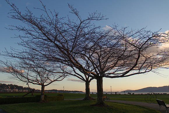 Zuanich Park March 2017-9793