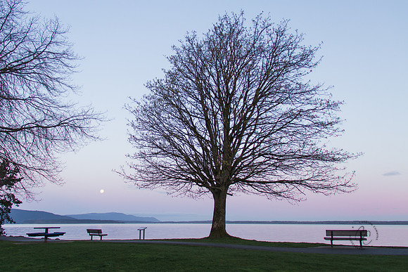 Full Moon Set & Sunrise April 2017-0504