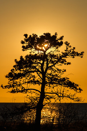 Semiahmoo Feb 2017-9421