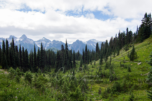 Mt. Rainier-7367
