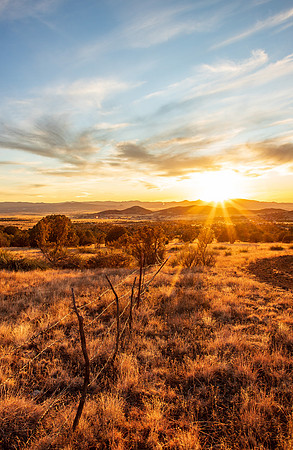Prescott Valley Feb 2025-6644