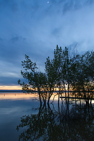 Lake Lowell, ID May 2017-1566