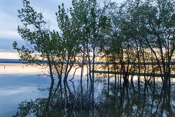 Lake Lowell, ID May 2017-1569