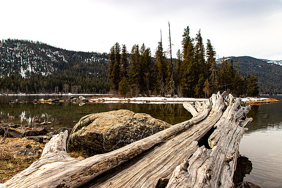 Lake Wenatchee State Park March 2021-5926