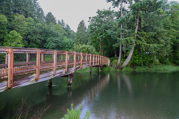 Tolmie State Park June 2017-3592