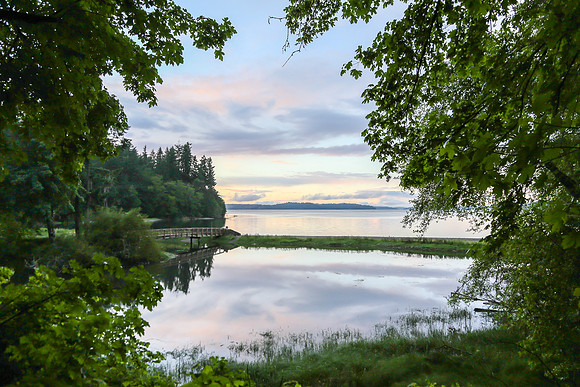 Tolmie State Park June 2017-3653