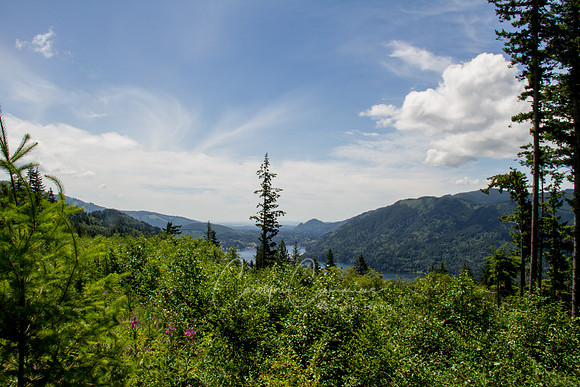 Lake Whatcom Trail-2167