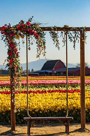 Tulip Town April 2021-7382