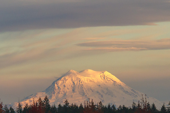 Mt. Rainier 6119