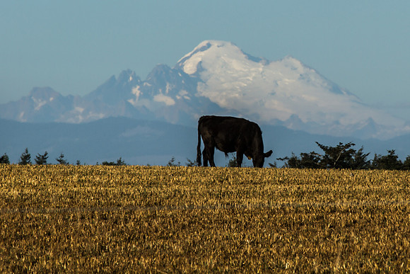 Whidbey Island Drive July 2017-4140