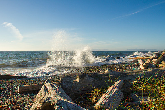 Whidbey Island Drive July 2017-4196