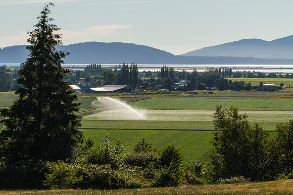 Colony Road Drive August 2017-4264