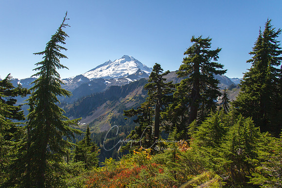 Mt. Baker Oct 2017-6150
