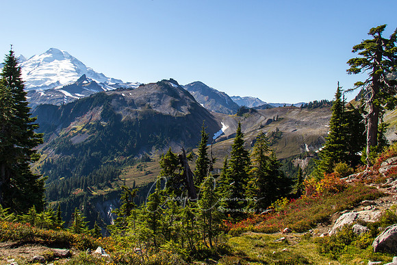 Mt. Baker Oct 2017-6159