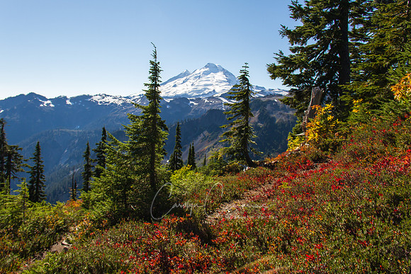 Mt. Baker Oct 2017-6167