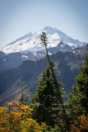 Mt. Baker Oct 2017-6194