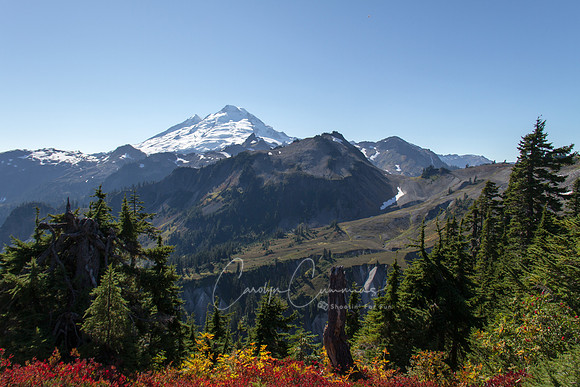 Mt. Baker Oct 2017-6202