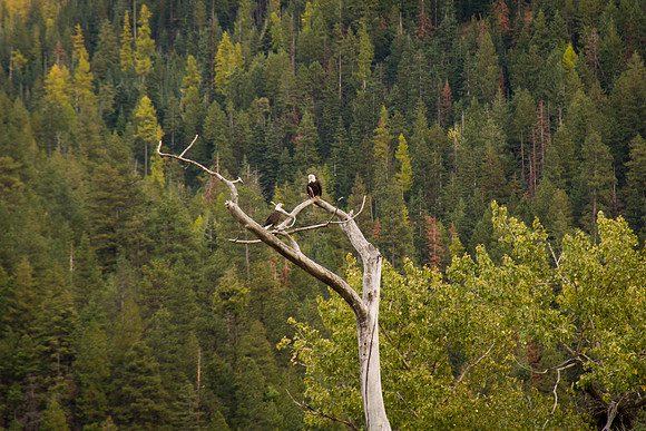 Wallowa Lake SP Oct 2017-6652