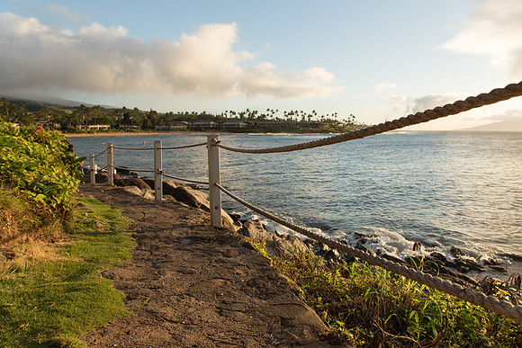 Maui Christmas 2017-1367