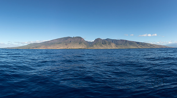 Maui Christmas 2017-1320