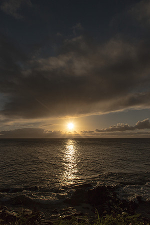 Maui Christmas 2017-1374